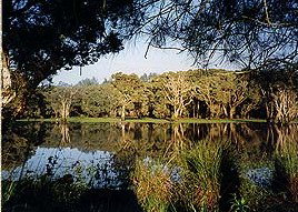 Bush Haven - Accommodation Batemans Bay 3