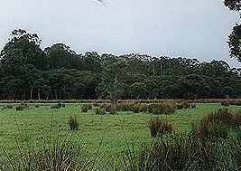 Bush Haven - Accommodation Batemans Bay 4