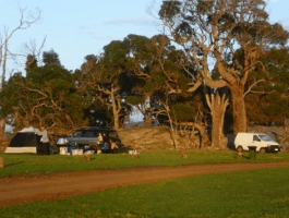 Ayr Sailean - Accommodation Batemans Bay 5