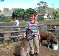 Kemminup Farm - Accommodation Batemans Bay