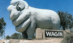 Wagin Motel - Accommodation Batemans Bay