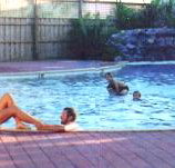 Shark Bay Caravan Park - Accommodation Batemans Bay