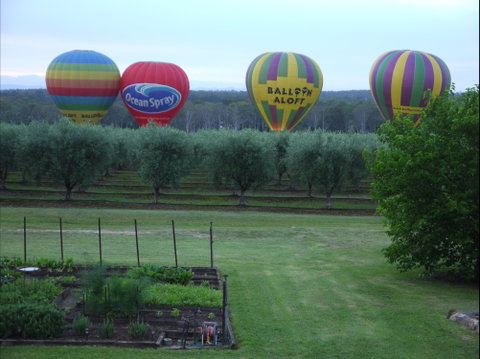 Adina Vineyard & Olive Grove - Accommodation Batemans Bay 1