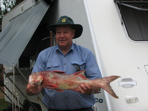 Armstrong Beach Caravan Park - Accommodation Batemans Bay 2