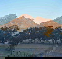 Barney Creek Vineyard Cottages - Accommodation Batemans Bay