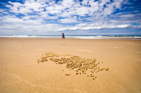 BIG4 Nambucca Beach Holiday Park - Accommodation Batemans Bay 1