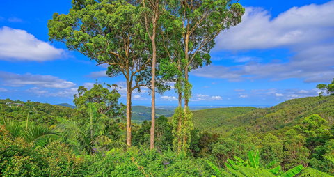 Cloud 9 Cliff Top Eagle Heights - Accommodation Batemans Bay 1