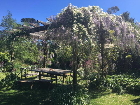 Hawthorne Cottage: Blackheath - Accommodation Batemans Bay 2