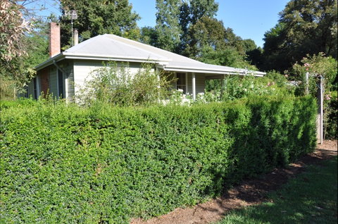 Honeysuckle Cottage - Accommodation Batemans Bay 1