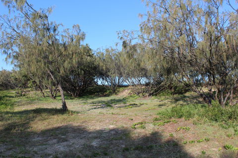 K'gari (Fraser Island) Camping, Great Sandy National Park - Accommodation Batemans Bay 1