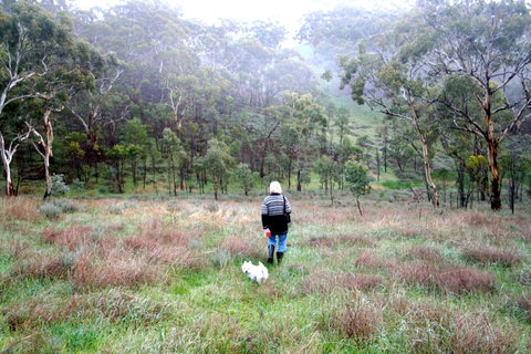 Molly's Chase - Accommodation Batemans Bay 2