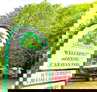 Molong Caravan Park - Accommodation Batemans Bay