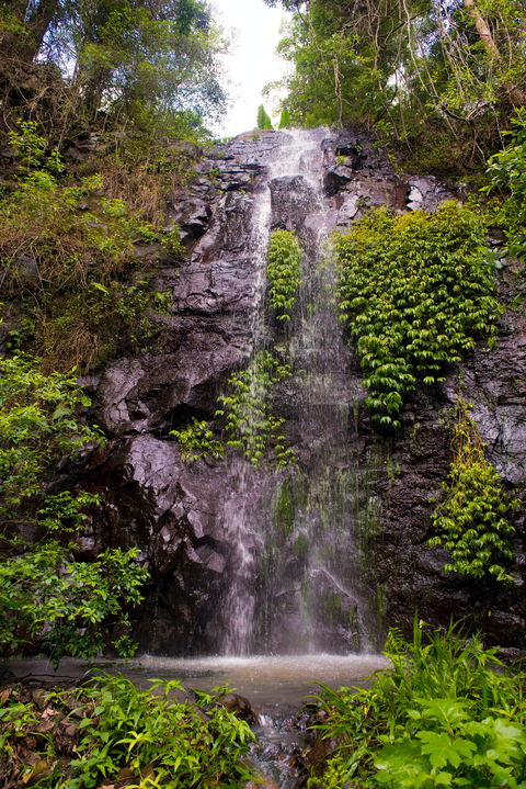 Nimbin Waterfall Retreat - Accommodation Batemans Bay 0