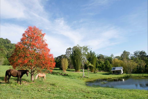 Nimbin Waterfall Retreat - Accommodation Batemans Bay 1