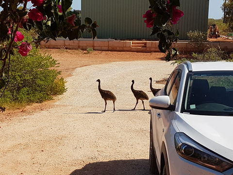 Ningaloo Bed And Breakfast - Accommodation Batemans Bay 1