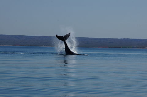 Ningaloo Bed And Breakfast - Accommodation Batemans Bay 2