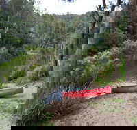 Platypus Flat campground - Accommodation Batemans Bay