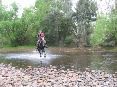 Ribbonwood Cottages - Accommodation Batemans Bay 2
