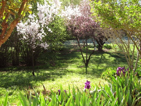 Sofala Cottage - Accommodation Batemans Bay 0