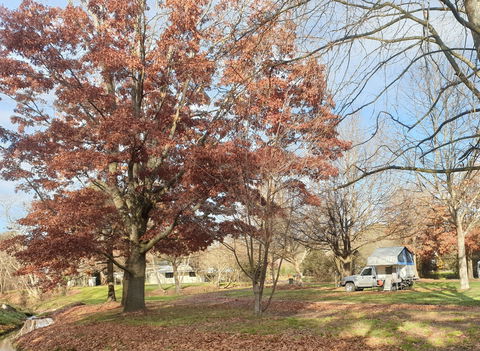 Tumbarumba Caravan Park - Accommodation Batemans Bay 0