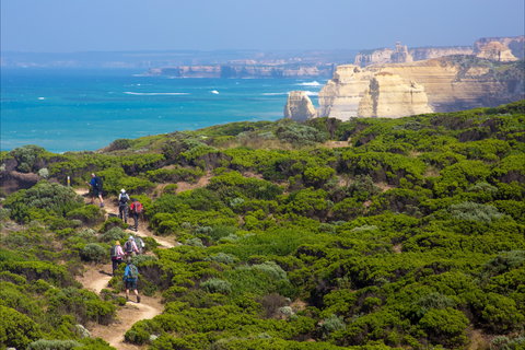 Twelve Apostles Lodge Walk - Accommodation Batemans Bay 0