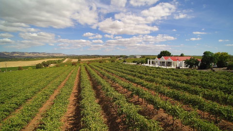 1837 Barossa Luxury Vineyard Cottages - Accommodation Batemans Bay 0