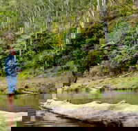Bass Lodge - Accommodation Batemans Bay