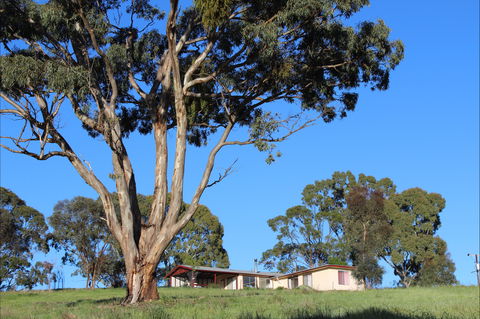 Clare View Accommodation - Clare View Cottage - Accommodation Batemans Bay 2