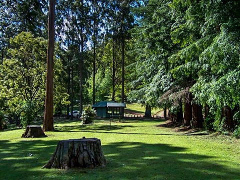 Dingo Tops Campground - Accommodation Batemans Bay 0