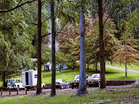 Dingo Tops Campground - Accommodation Batemans Bay 2