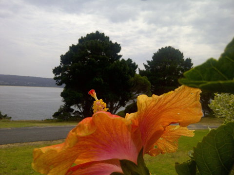 Eden Oceanview - Accommodation Batemans Bay 1