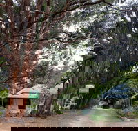Fernleigh Accommodation - Accommodation Batemans Bay
