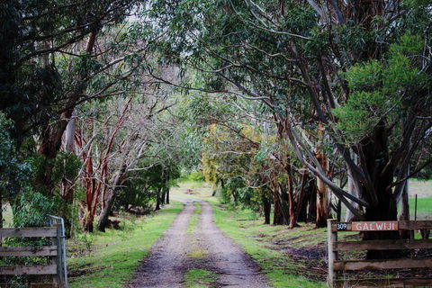 Galwiji Homestead - Accommodation Batemans Bay 1