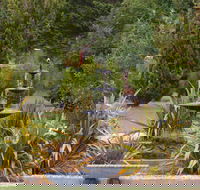 Highland Caravan Park - Accommodation Batemans Bay