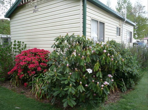 Jenolan Caravan Park - Accommodation Batemans Bay 0