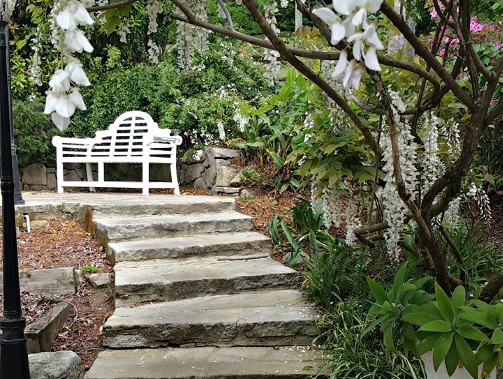 The Devils Wilderness NSW Accommodation Batemans Bay
