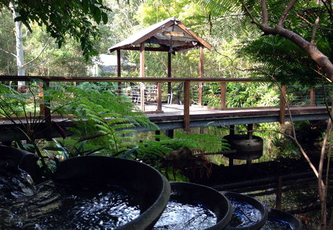 The Oasis And Wellness Centre  At One Mile Beach - Accommodation Batemans Bay 0