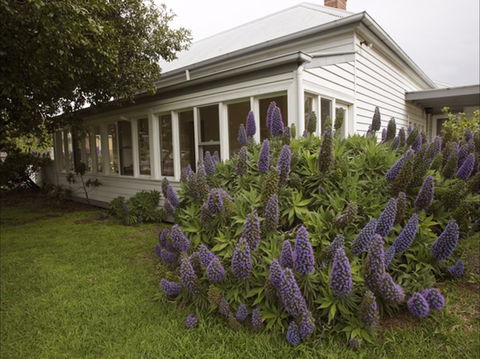 The Lonsdale Palms - Accommodation Batemans Bay 1