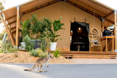 BIG4 Anglesea Holiday Park - Accommodation Batemans Bay 2