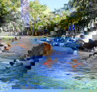 Big4 Aussie Outback Oasis Holiday Park - Accommodation Batemans Bay