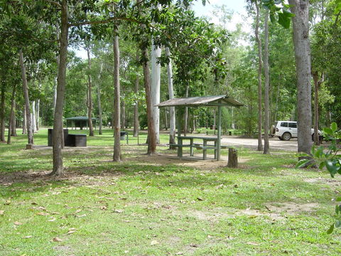 Broadwater Camping Area, Abergowrie State Forest - Accommodation Batemans Bay 0