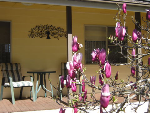Figtree Cottage - Accommodation Batemans Bay 1