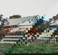 Glenburnie Cottage - Accommodation Batemans Bay