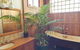 Karno House Mount Gambier - Local Heritage Listed - thumb 1