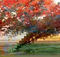 Little Kickabell Country Homestead - Accommodation Batemans Bay