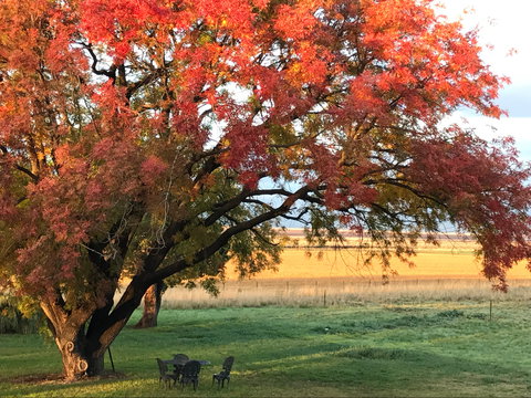 Little Kickabell Country Homestead - Accommodation Batemans Bay 0