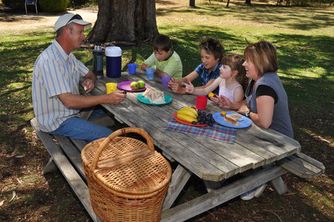 Naracoorte Caves Camping And Accomodation - Accommodation Batemans Bay 0