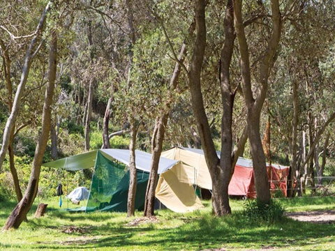 Pebbly Beach Campground - Yuraygir National Park - Accommodation Batemans Bay 1