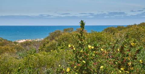 Preston Beach Front Apartment - Accommodation Batemans Bay 0