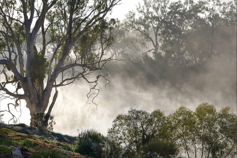 River Boat Road Cadell -River Shack Rentals - Accommodation Batemans Bay 1